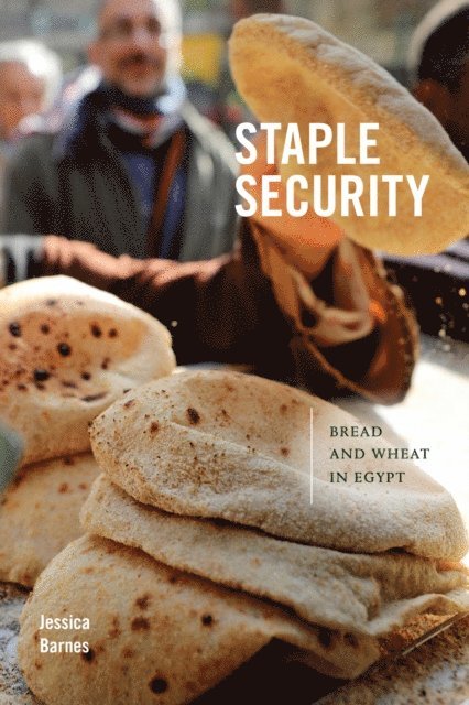 Jessica Barnes - Staple Security, E-bok