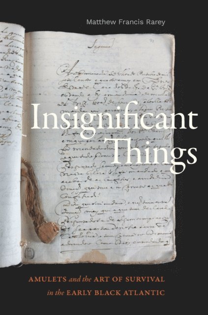 Matthew Francis Rarey - Insignificant Things, E-bok