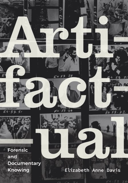 Elizabeth Anne Davis - Artifactual, E-bok