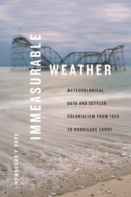 Sara J. Grossman - Immeasurable Weather, E-bok