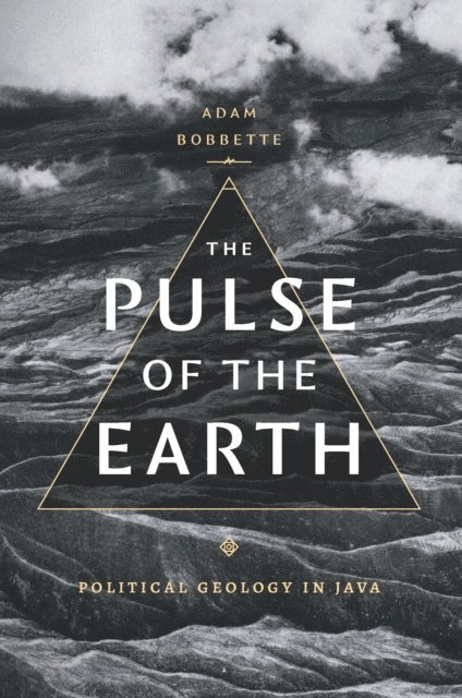 Adam Bobbette - Pulse of the Earth, E-bok