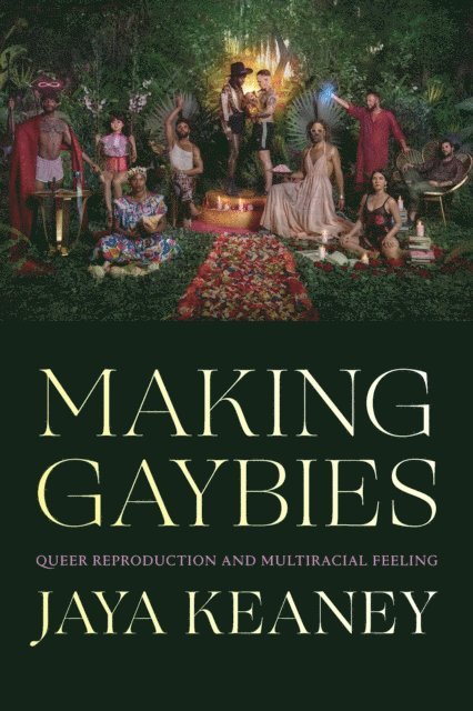 Jaya Keaney - Making Gaybies, E-bok