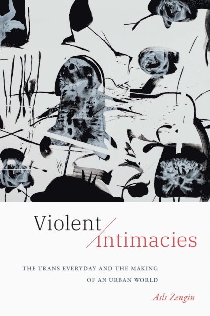 Asli Zengin - Violent Intimacies, E-bok