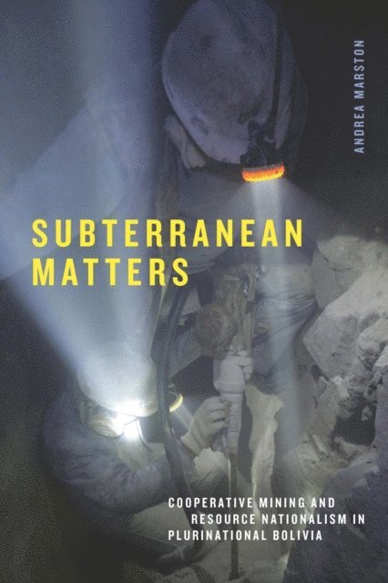 Andrea Marston - Subterranean Matters, E-bok