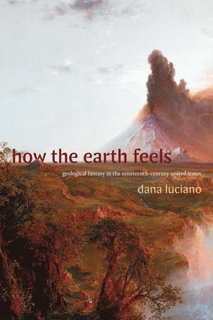 Dana Luciano - How the Earth Feels, E-bok