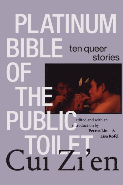 Zi'en Cui, Lisa Rofel, Petrus Liu - Platinum Bible of the Public Toilet, E-bok