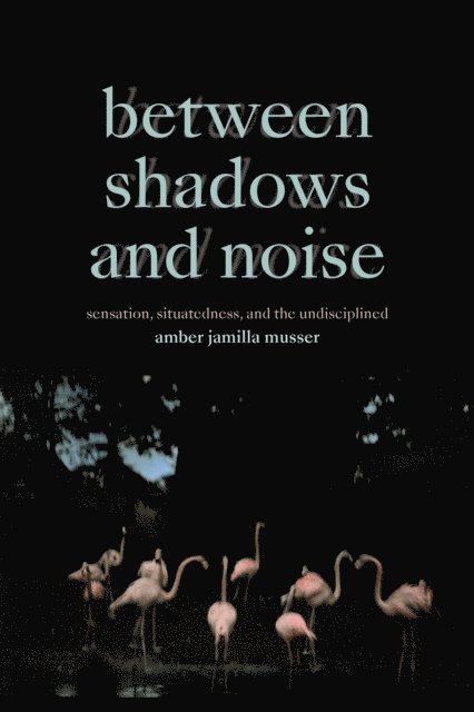 Amber Jamilla Musser - Between Shadows and Noise, E-bok