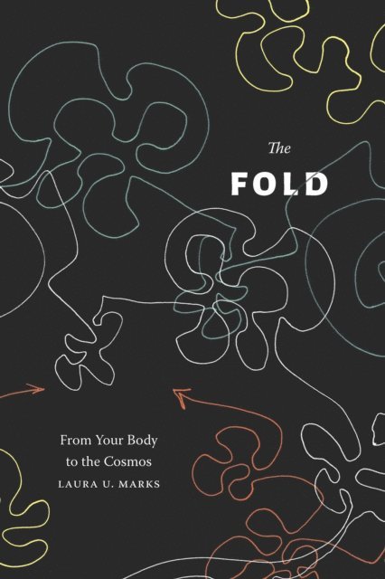 Laura U. Marks - Fold, E-bok