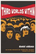 Third Worlds Within