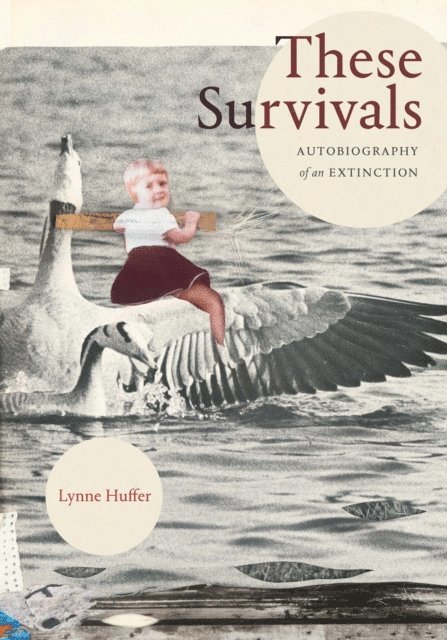 Lynne Huffer - These Survivals, E-bok