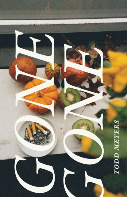 Todd Meyers - Gone Gone, E-bok