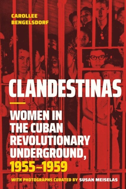 Carollee Bengelsdorf - Clandestinas, E-bok