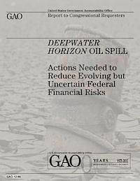 U. S. Government, U. S. Government Accountability Office - Deepwater Horizon Oil Spill: Actions Needed to Reduce Evolving but Uncertain Federal Financial Risks, Häftad