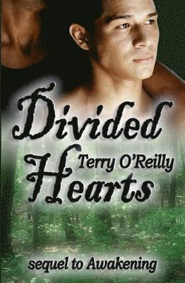 Terry O'Reilly - Divided Hearts, Häftad