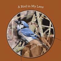 Frank Brown - A Bird in My Lens, Häftad. Tillgänglighet: Lägg i varukorg