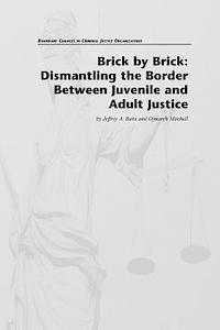 Ojmarrh Mitchell, Jeffrey A. Butts - Brick by Brick: Dismantling the Border Between Juvenile and Adult Justice, Häftad. Tillgänglighet: Lägg i varukorg