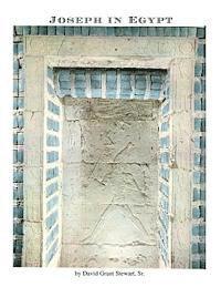 Sr. Stewart, David Grant - Joseph in Egypt: A translator finds additional ancient accounts of Joseph, Häftad. Tillgänglighet: Lägg i varukorg