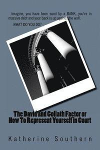 Katherine Southern - The David and Goliath Factor or How To Represent Yourself in Court, Häftad. Tillgänglighet: Lägg i varukorg