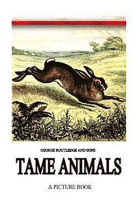 George Routledge And Sons - Tame Animals, Häftad. Tillgänglighet: Lägg i varukorg