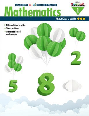 Meaningful Mini-Lessons & Practice: Mathematics Gr 1 Teacher Resource, Häftad