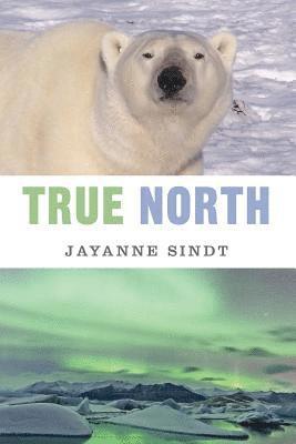 Jayanne Sindt - True North, Häftad. Tillgänglighet: Lägg i varukorg