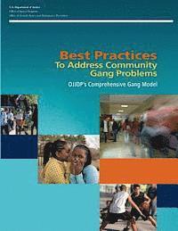 Office of Justice Programs, Office of Juvenile Justice a Prevention - Best Practices To Address Community Gang Problems: OJJDP's Comprehensive Gang Model (Second Edition), Häftad