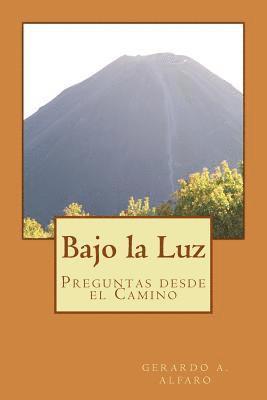 Gerardo A. Alfaro - Bajo la Luz: Preguntas desde el Camino, Häftad. Tillgänglighet: Lägg i varukorg