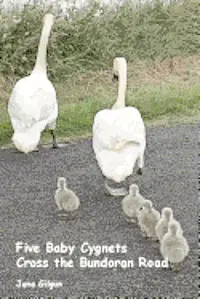 Jane Gilgun - Five Baby Cygnets Cross the Bundoran Road, Häftad. Tillgänglighet: Lägg i varukorg
