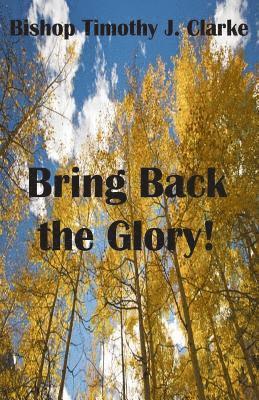 Timothy J. Clarke - Bring Back the Glory, Häftad. Tillgänglighet: Lägg i varukorg
