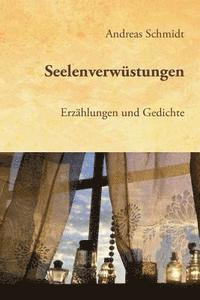 Andreas Schmidt - Seelenverwüstungen: Erzählungen und Gedichte, Häftad