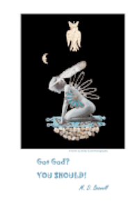 M. Boswell - Got God? You Should!, Häftad