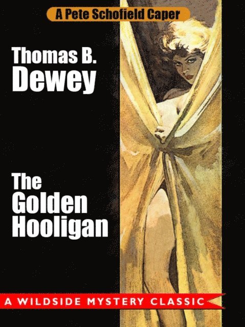 Thomas B. Dewey - Golden Hooligan: A Pete Schofield Caper, E-bok