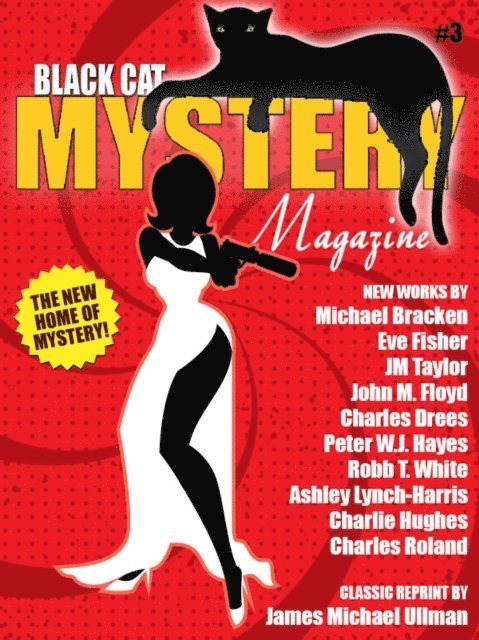 John M. Floyd, Michael Bracken - Black Cat Mystery Magazine #3, E-bok