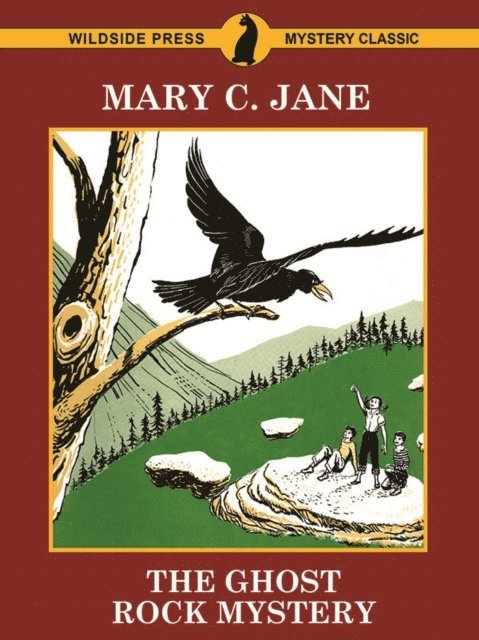 Mary C. Jane - Ghost Rock Mystery, E-bok