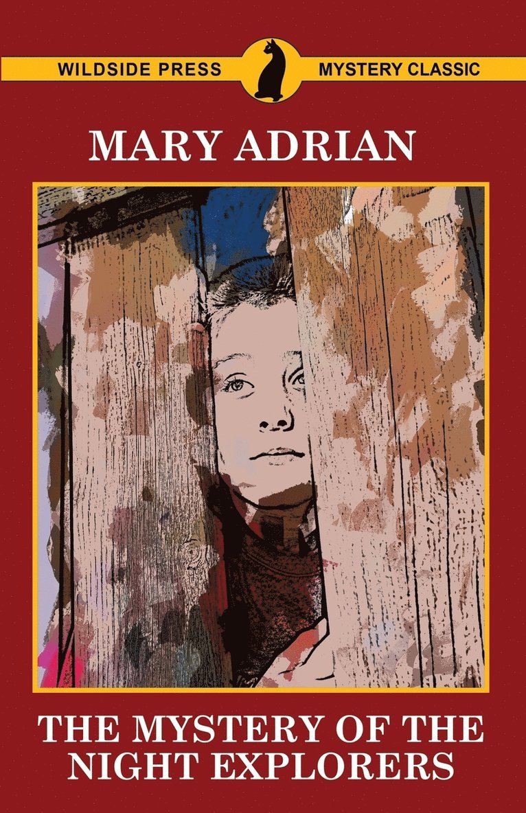 Mary Adrian - Mystery of the Night Explorers, Häftad