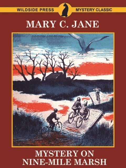 Mary C. Jane - Mystery on Nine-Mile Marsh, E-bok