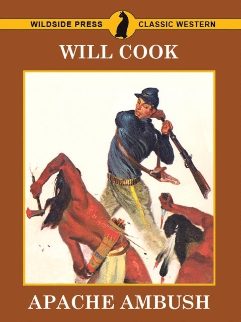 Will Cook - Apache Ambush, E-bok