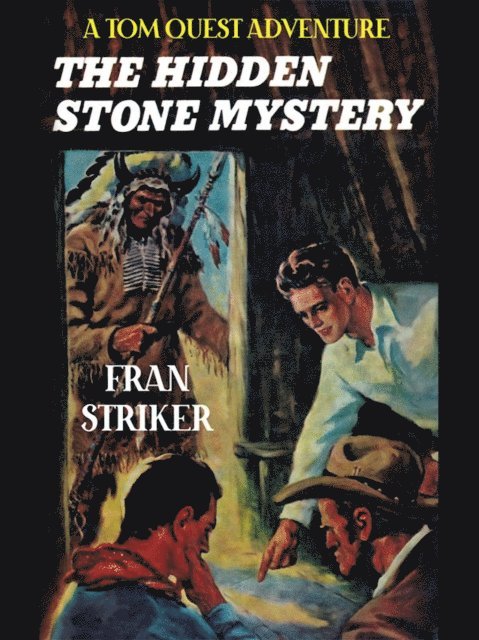 Fran Striker - Hidden Stone Mystery, E-bok