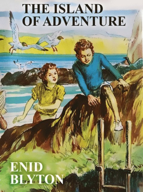 Enid Blyton - Island of Adventure, E-bok