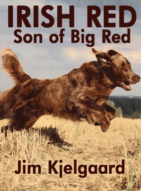 Jim Kjelgaard - Irish Red, Son of Big Red, E-bok