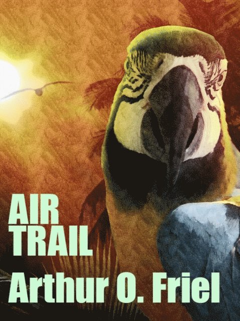 Arthur O. Friel - Air Trail, E-bok
