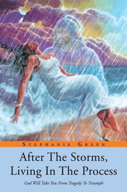 Stephanie Green - After the Storms, Living in the Process, E-bok