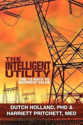 Dutch Holland, M Ed Harriett Pritchett, Dutch Holland - Intelligent Utility, Häftad. Tillgänglighet: Lägg i varukorg