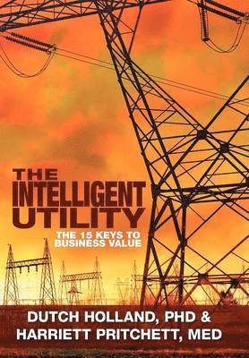 Dutch Holland, M Ed Harriett Pritchett, Dutch Holland - Intelligent Utility, Inbunden. Tillgänglighet: Lägg i varukorg