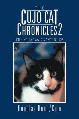 Cujo Cat Chronicles 2