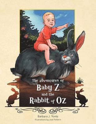 Barbara J Yontz - Adventures of Baby Z and the Rabbit of Oz, Häftad
