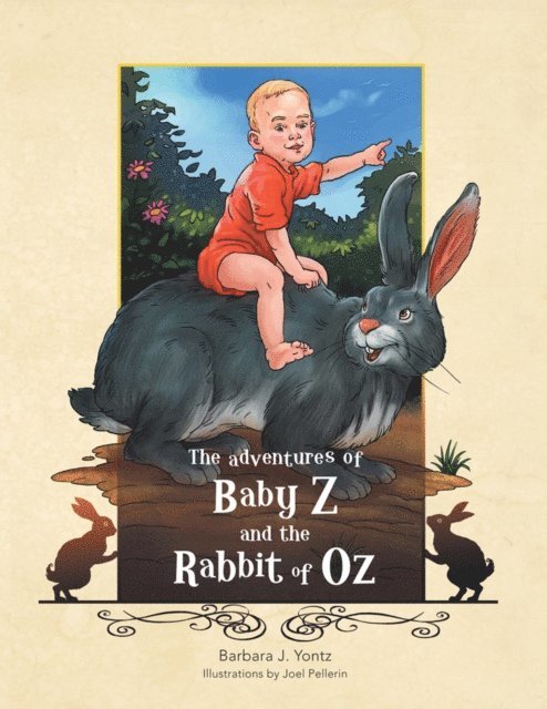 Barbara J. Yontz - Adventures of Baby Z and the Rabbit of Oz, E-bok