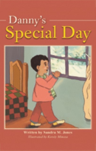 Sandra Fenty Jones - Danny's Special Day, E-bok