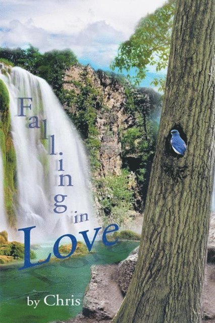 Chris - Falling in Love, E-bok