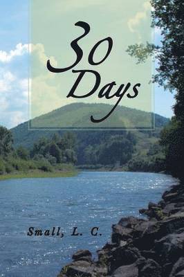 L C Small - 30 Days, Häftad